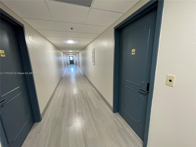 hallway with light hardwood / wood-style flooring and a drop ceiling