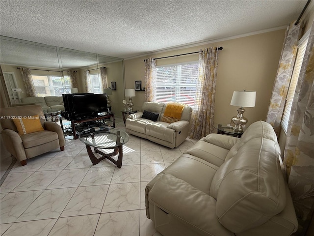 living room featuring a textured ceiling and crown molding