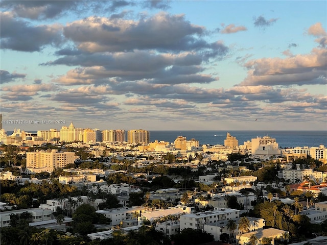 view of city featuring a water view