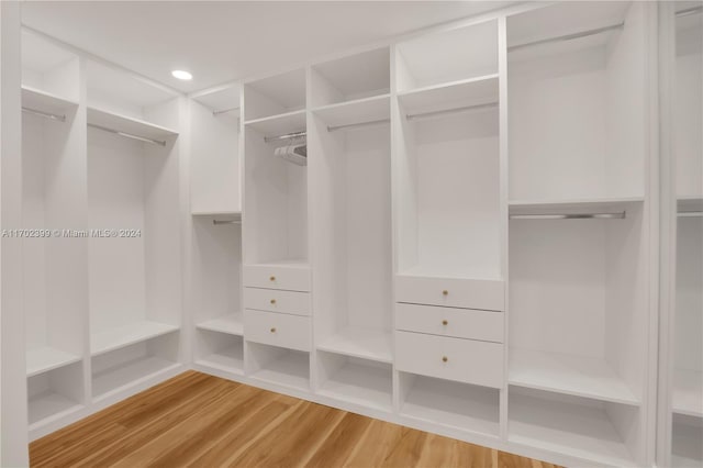 spacious closet featuring wood-type flooring