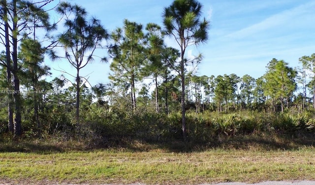 12090 Kraft Ave, Port Charlotte FL, 33953 land for sale