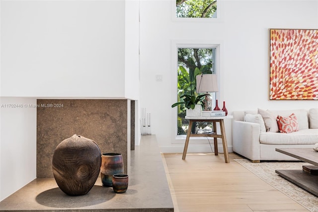 interior space featuring a towering ceiling and light hardwood / wood-style flooring