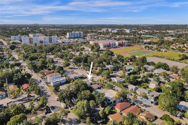 bird's eye view