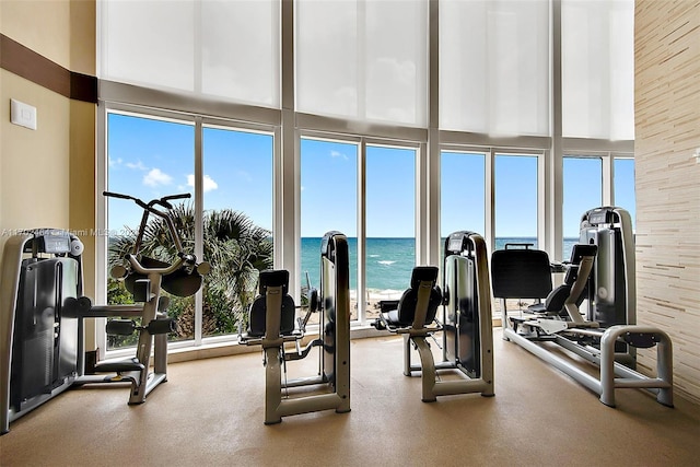 exercise room with wood walls, a water view, a high ceiling, and a wealth of natural light