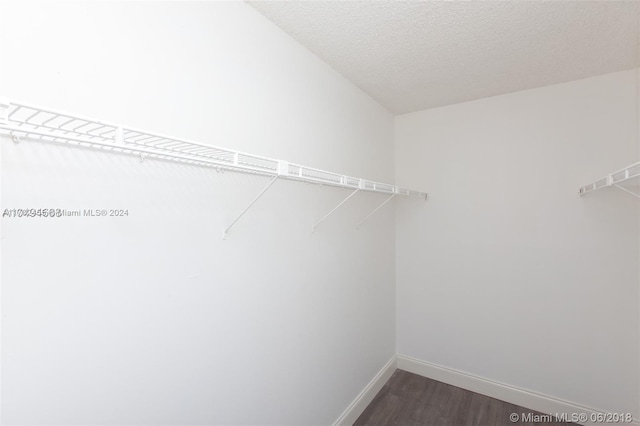 walk in closet featuring dark wood-type flooring