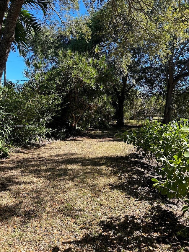 view of local wilderness