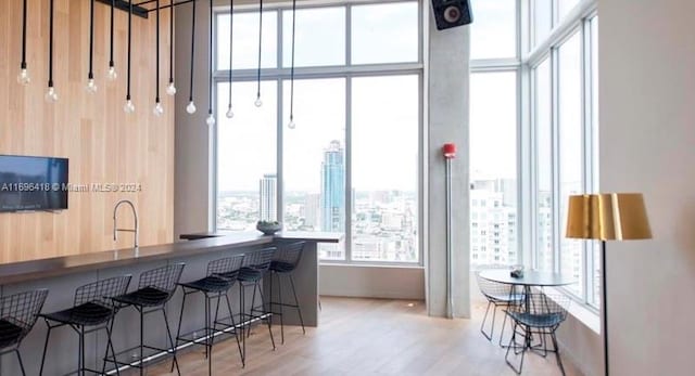 bar featuring wood-type flooring