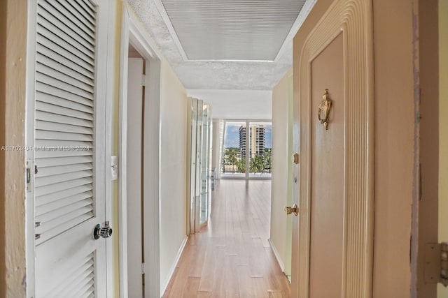 hall featuring light hardwood / wood-style flooring and a textured ceiling