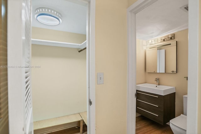 bathroom featuring vanity, toilet, and wood-type flooring