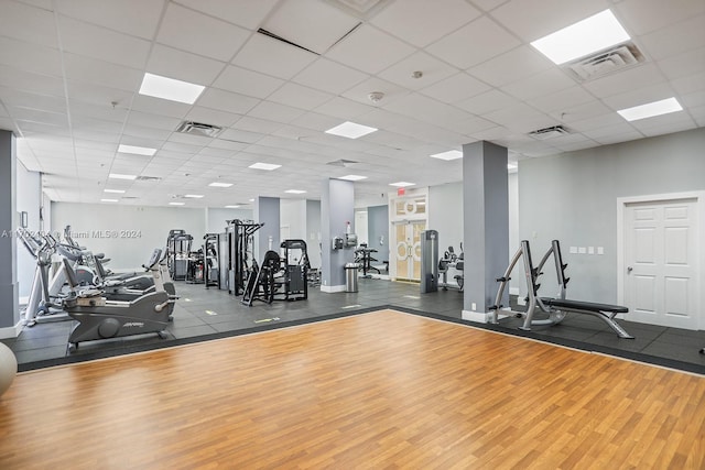 workout area featuring a drop ceiling and hardwood / wood-style flooring