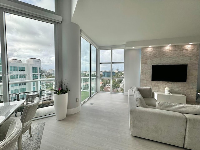 living room featuring expansive windows, a healthy amount of sunlight, and light hardwood / wood-style floors