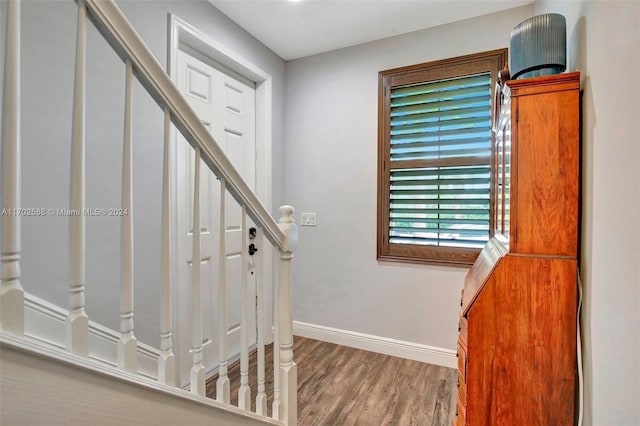 stairway with wood-type flooring