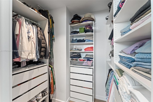 view of spacious closet