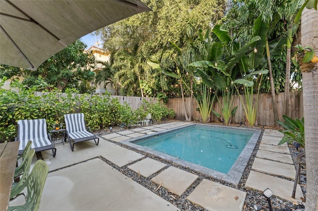 view of pool with a patio area