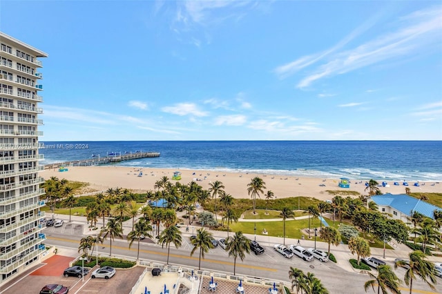 water view with a view of the beach