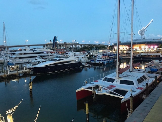 dock area with a water view