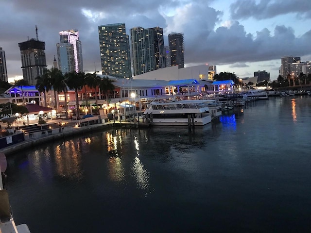 water view with a dock