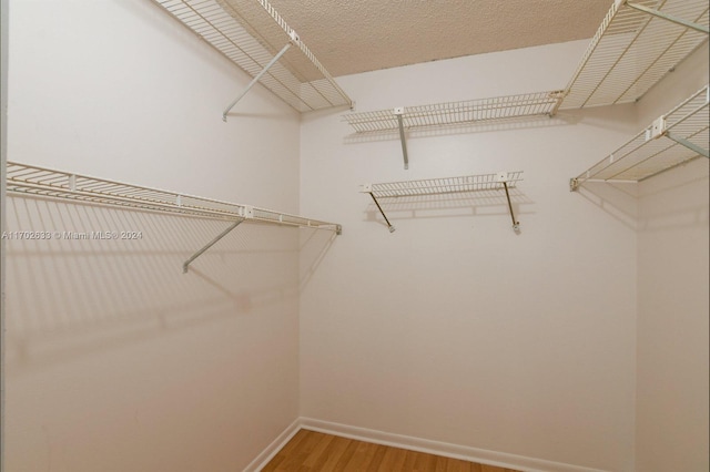 walk in closet featuring hardwood / wood-style flooring