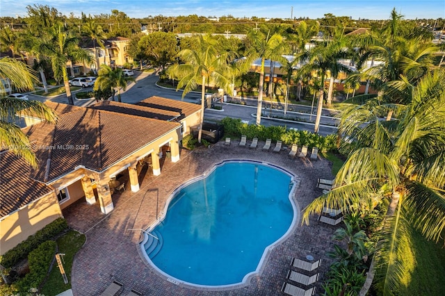 view of swimming pool featuring a patio