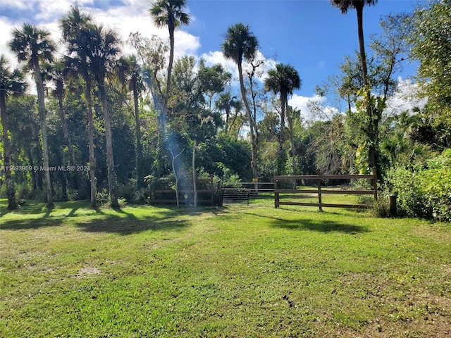 view of yard