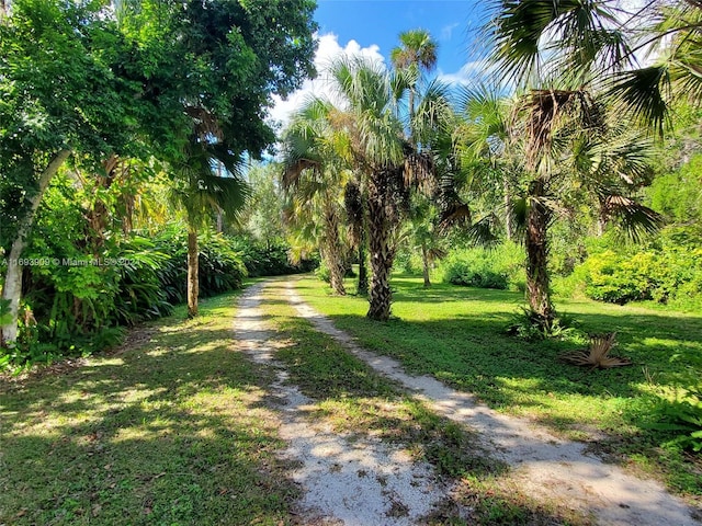 view of road