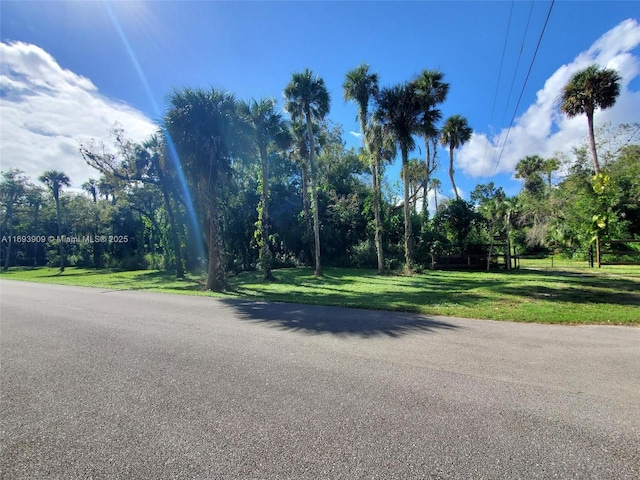 671 Live Oak Ln, La Belle, FL 33935 - view of road