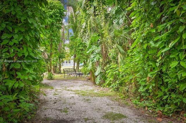 671 Live Oak Ln, La Belle, FL 33935 - view of yard
