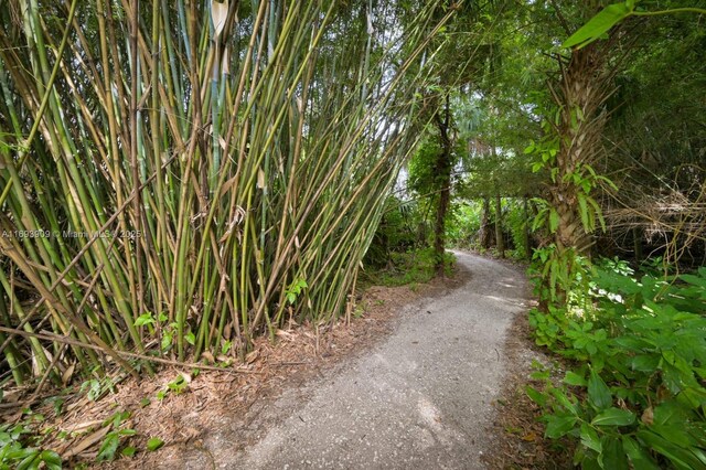 671 Live Oak Ln, La Belle, FL 33935 - view of road