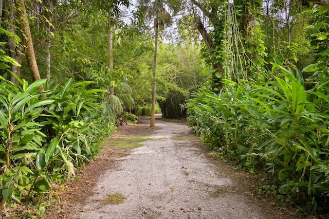 671 Live Oak Ln, La Belle, FL 33935 - view of street