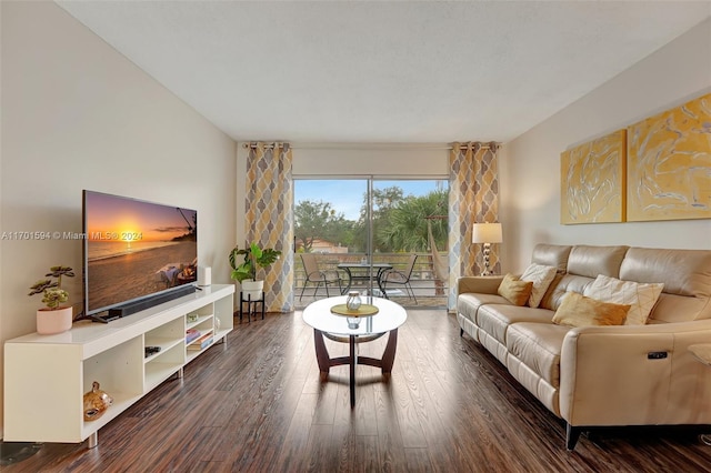 living room featuring dark wood-type flooring