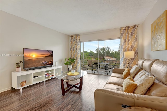 living room featuring wood-type flooring and a textured ceiling