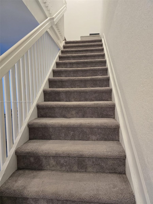 stairs featuring carpet floors