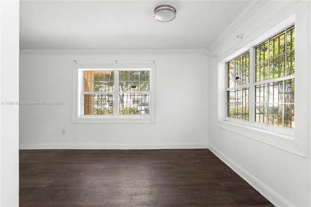 spare room featuring baseboards, dark wood-type flooring, and ornamental molding