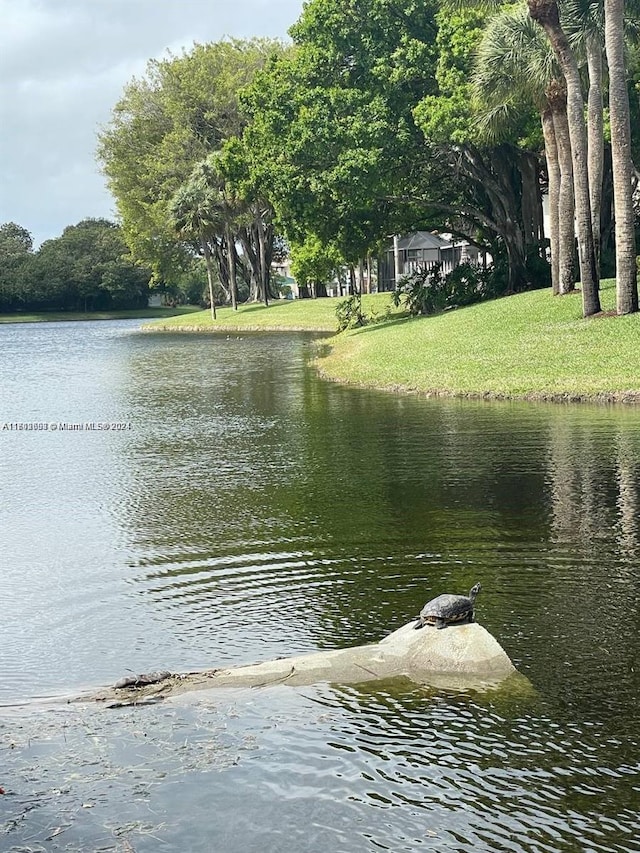 property view of water