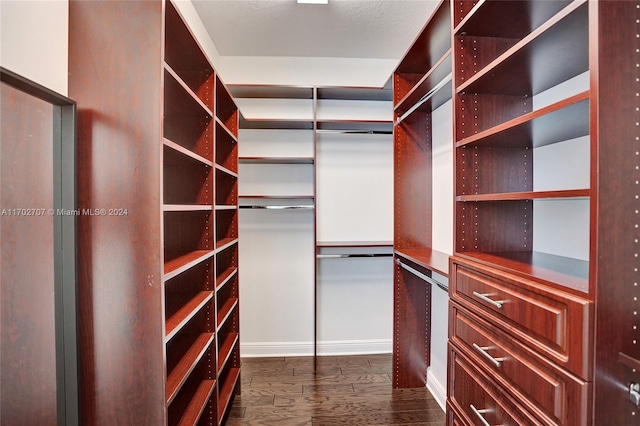 walk in closet with dark wood-type flooring