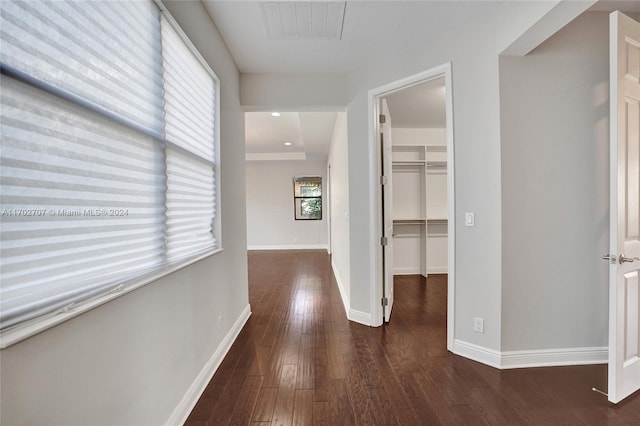 corridor featuring dark hardwood / wood-style floors