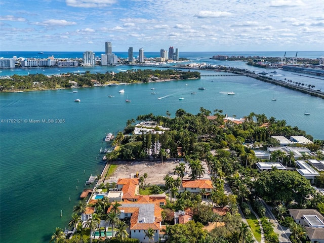 49 Palm Ave, Miami Beach, FL 33139 - photo 4