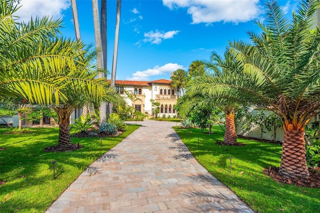 49 Palm Ave, Miami Beach, FL 33139 - photo 7