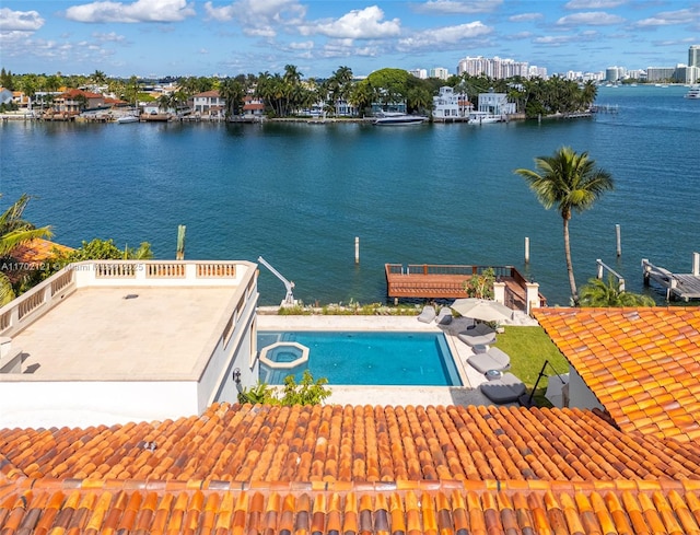 49 Palm Ave, Miami Beach, FL 33139 - photo 62