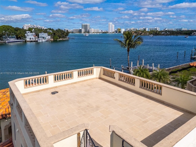 49 Palm Ave, Miami Beach, FL 33139 - photo 63