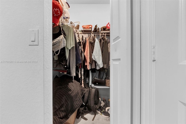 spacious closet featuring carpet flooring