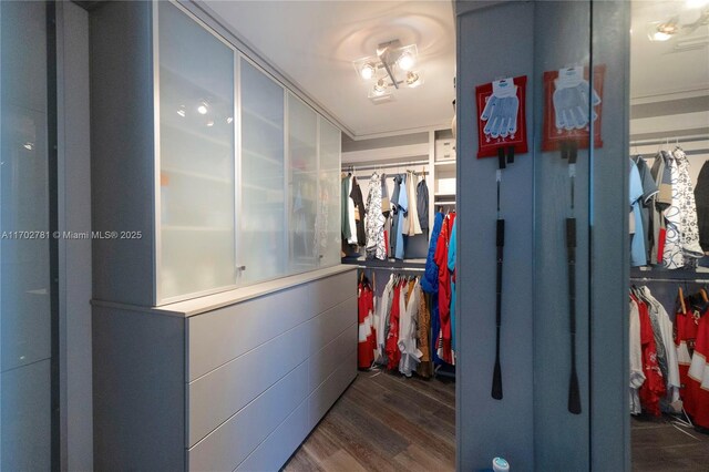 spacious closet featuring dark hardwood / wood-style flooring