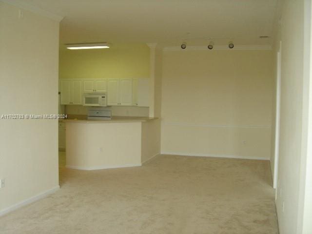 carpeted spare room featuring crown molding