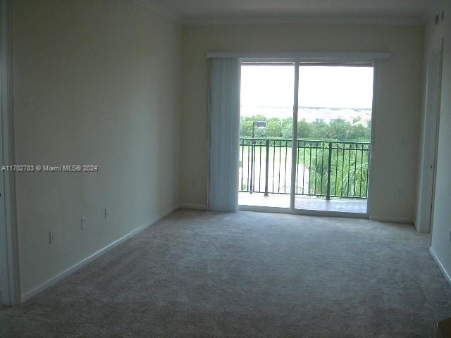 view of carpeted spare room