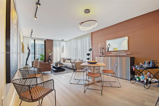 dining area featuring light hardwood / wood-style floors and track lighting