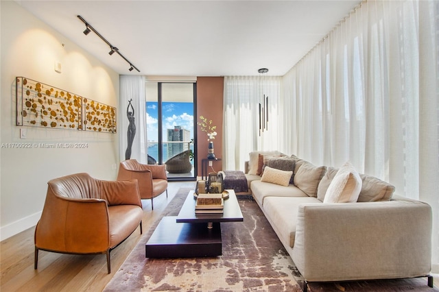 living room featuring rail lighting and hardwood / wood-style flooring