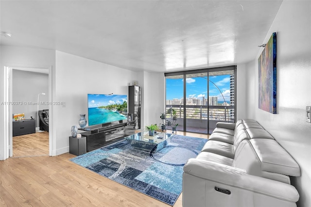 living room with light hardwood / wood-style floors