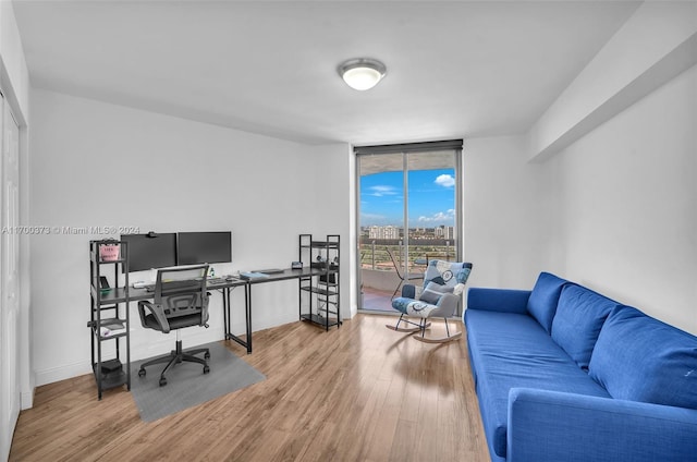 office space featuring hardwood / wood-style flooring