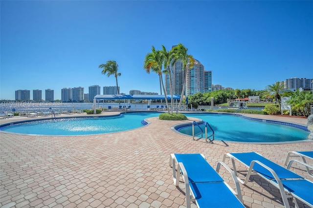 view of swimming pool featuring a patio