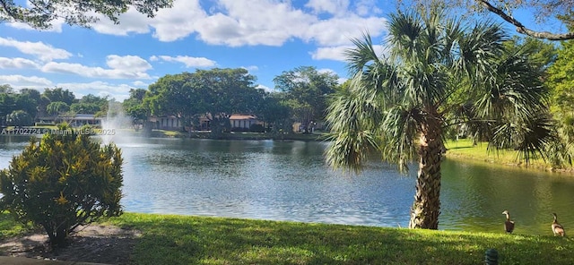 view of water feature